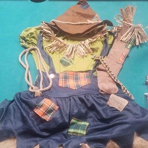 Halloween Adult Women’s scarecrow dress costume.